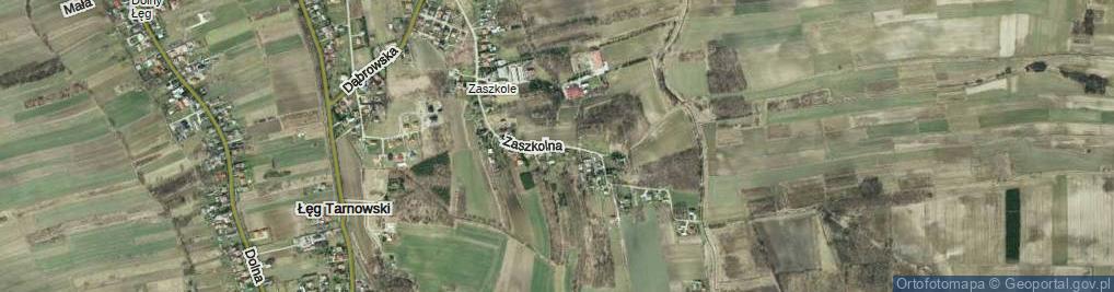 Zdjęcie satelitarne Zaszkolna ul.